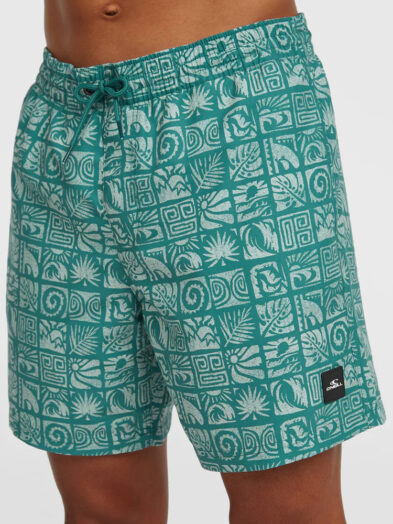 O'Neill Print 16'' Swimshorts | Blue